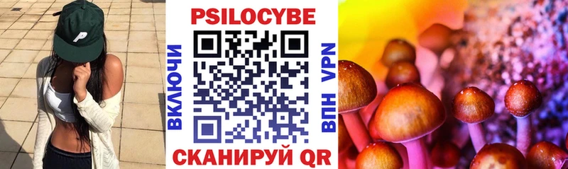 Псилоцибиновые грибы Psilocybine cubensis  Костомукша 